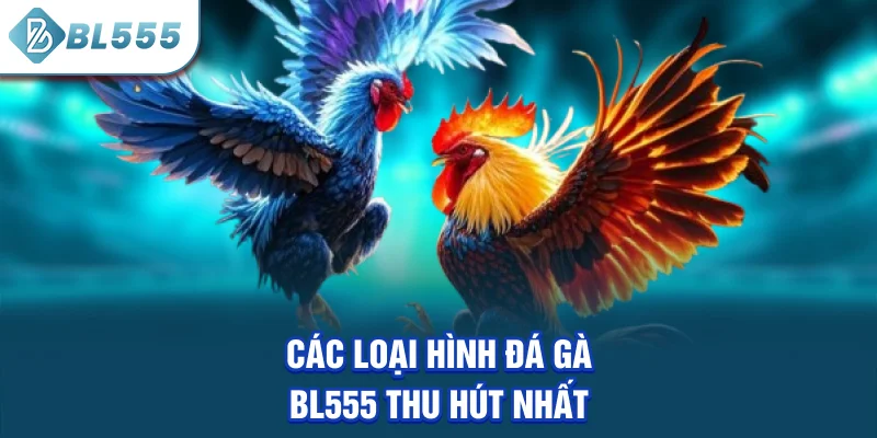 cac-loai-hinh-da-ga-bl555-thu-hut-nhat