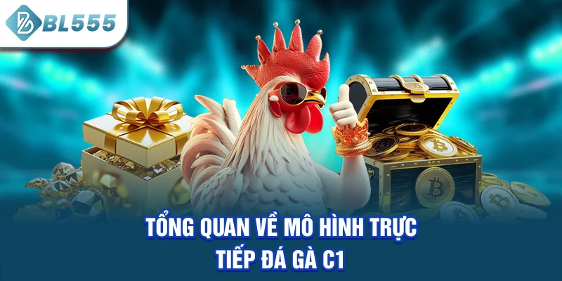 tong-quan-ve-mo-hinh-truc-tiep-da-ga-c1