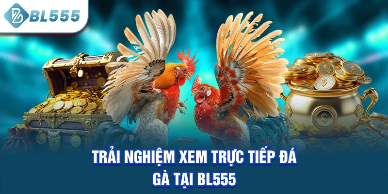 trai-nghiem-xem-truc-tiep-da-ga-tai-bl555